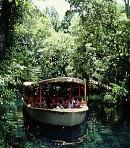 Florida sight seeing spots